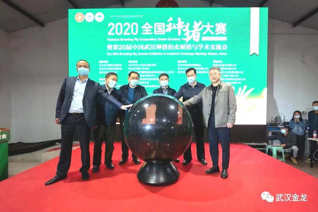 熱烈祝賀武漢金龍集團(tuán)長白種豬2020年中國農(nóng)民豐收節(jié)系列活動(dòng)”全國種豬大賽（湖北賽區(qū)）摘得桂冠